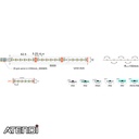 Image 2 ATP-AT-RGBW27-1