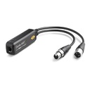 Dante AVIO AES3 Adapter
