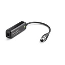 Dante AVIO Analog Input Adapter 1ch