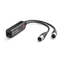 Dante AVIO Analog Output Adapter 2ch