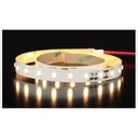 5m LED borði 24V 6500K IP20