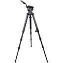 Focus 10 System 3-St CF StabilO