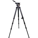 Focus 12 Stabilo