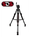 Focus 12 SDS CF