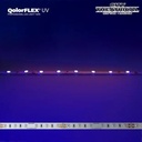 QolorFLEX 395nm UV LED Strip, 5m, 60Lpm