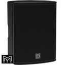 FlexPoint 12" Compact Passive Loudspeaker