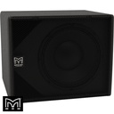 12" Passive Portable Subwoofer