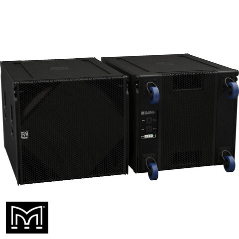 18" Passive Cardioid Flown Subwoofer