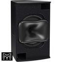 15" Triaxial Point Source Loudspeaker